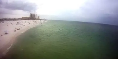 Playas arenosas en el Golfo de México Cámara web