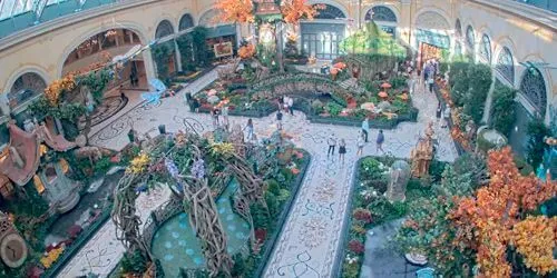 Bellagio Conservatory & Botanical Gardens Webcam screenshot