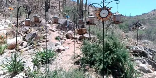 Bird feeders on the background of the rocky mountains webcam