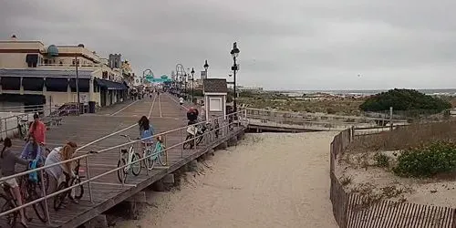 Boardwalk webcam