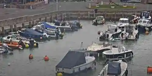 Bridport Hafen Webcam