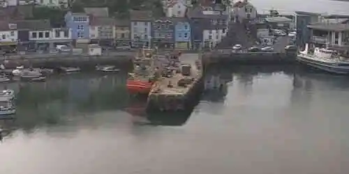 Brixham Marina Webcam