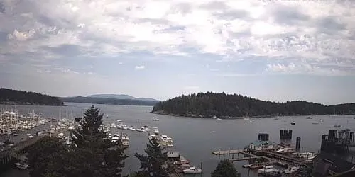 Friday Harbor Ferry, île Brown Caméra web