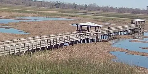 Cattail Marsh Scenic Wetlands & Boardwalk webcam - Beaumont