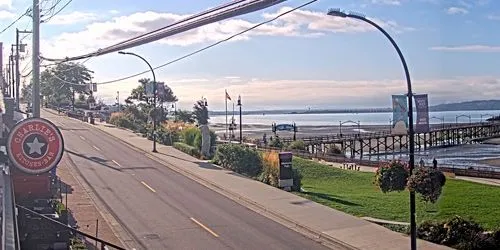 Charlie Don't Surf Bar - White Rock Webcam screenshot