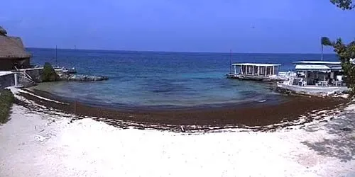 Beach at a hotel on the island of Cozumel webcam