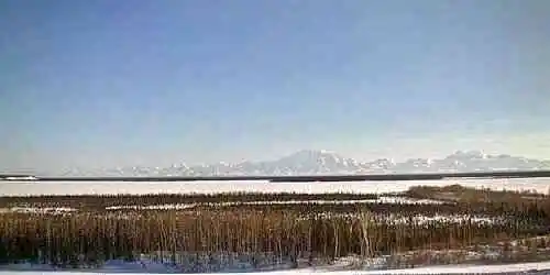 Denali National Park Webcam