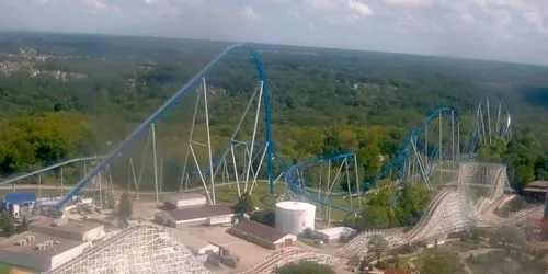 Diamondback en Isla de los Reyes webcam - Cincinnati