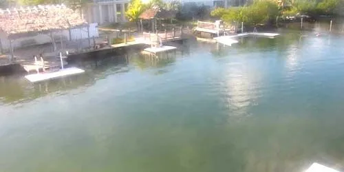 Dolphin Research Center webcam - Marathon