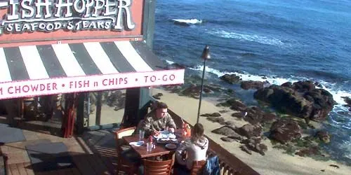 Restaurante Fish Hopper webcam