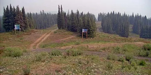 Silver Star ski slopes in the resort dense forest webcam - Vernon