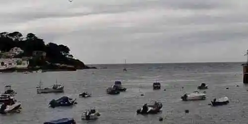 Puerto de Fowey Cámara web