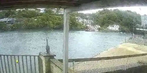 Fowey River Webcam