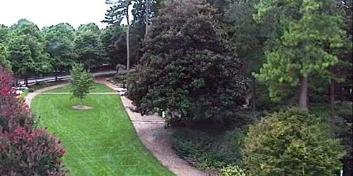 WRAL Azalea Garden Webcam