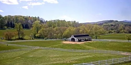 Ferme équestre à Hendersonville webcam - Asheville