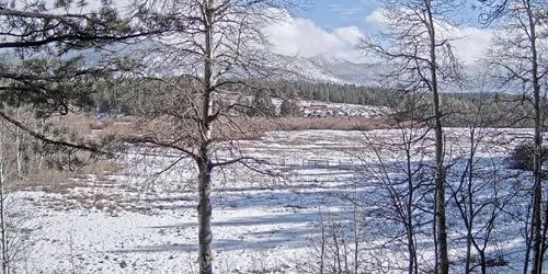 Parc Johnson Meadow Caméra web