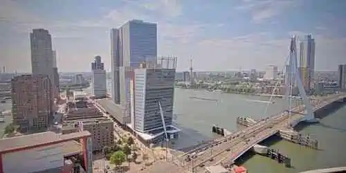 Kop van Zuid Caméra web
