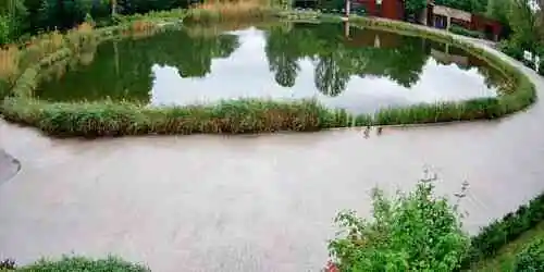 Lago del Zoo Cherkasy Cámara web