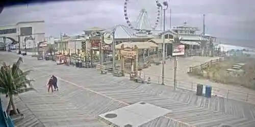 Bar LandShark Cámara web