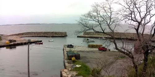 Lanes Cove Webcam