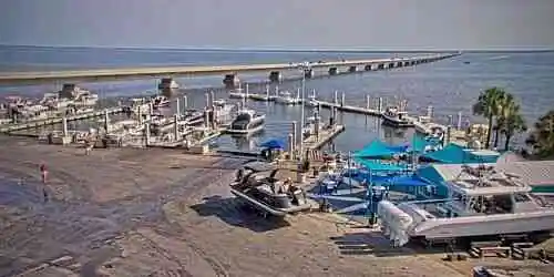 Legendary Marina Webcam