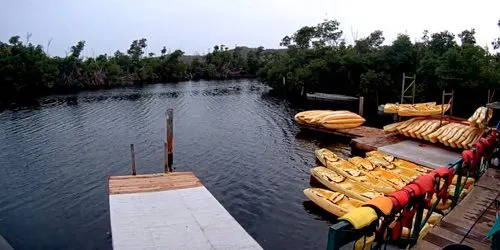 Mangrove Lagoon webcam - Charlotte Amalie