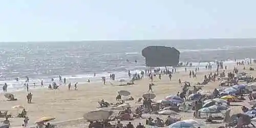 Matalascanas Plug Webcam