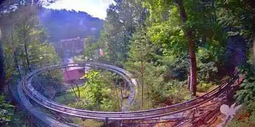 Moonshine Mountain Coaster Webcam