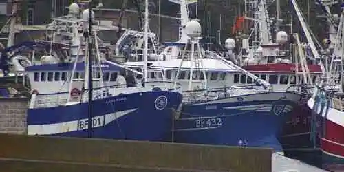 Newlyn Hafen Webcam