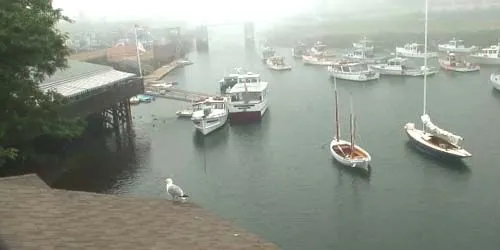 Marina Ogunquit webcam - Portland