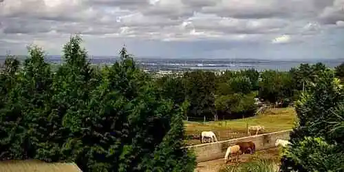 Конный центр Paddocks Веб-камера