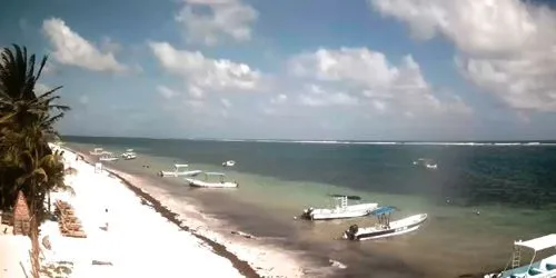 Plage blanche, palmiers à Puerto Morelos webcam