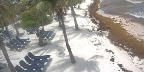 Sun loungers among palm trees on Kantenah beach webcam