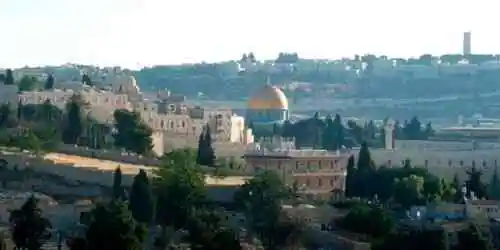 Panorama from Above Webcam