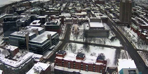 Boulevard René-Lévesque E, Parque de la América Francesa webcam - Quebec