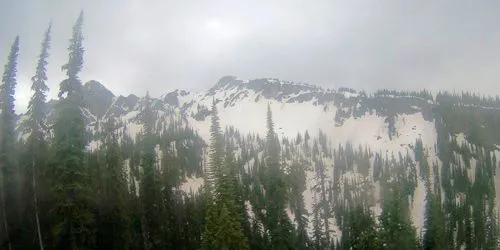 Mount Revelstoke National Park webcam - Revelstoke