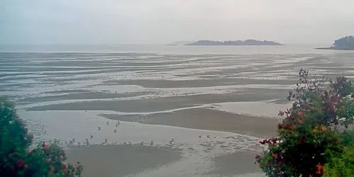 Parksville's shallow waters webcam - Nanaimo