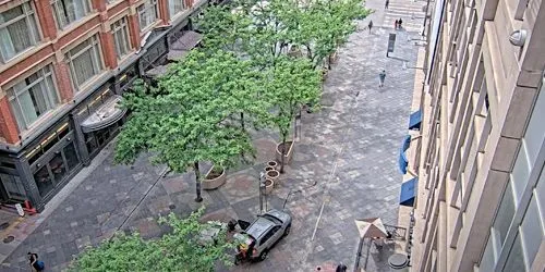 Pedestrians in the public garden on Curtis Street Webcam