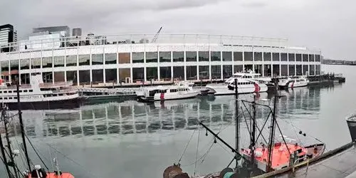 Vue sur le port depuis la jetée du poisson Caméra web