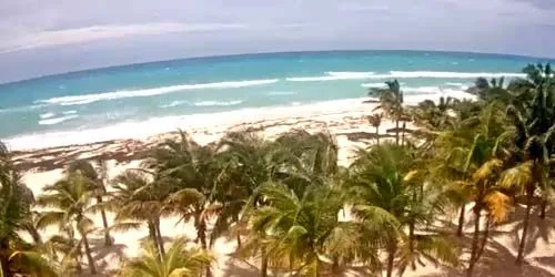 Playa con palmeras en la zona de Playacar webcam