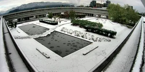 SFU AQ Pond webcam