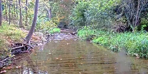 Climbers Run Nature Preserve Webcam