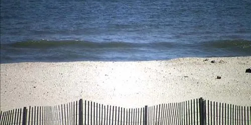 PTZ camera on the coast Webcam