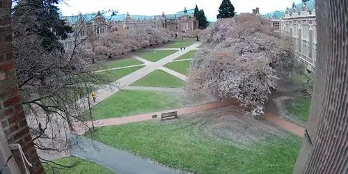 The Quad - UW Webcam