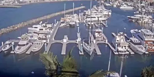 View of the quays from the Galleon Resort and Marina Webcam