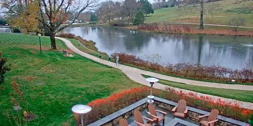 Resort de cabeza de jabalí junto al lago Cámara web