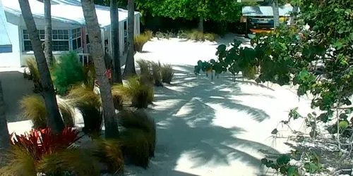 Pines and Palms Resort - Islamorada Webcam