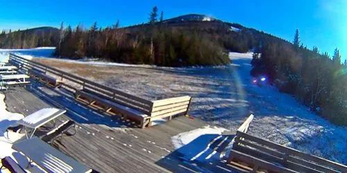 Terrace restaurant overlooking the forest webcam