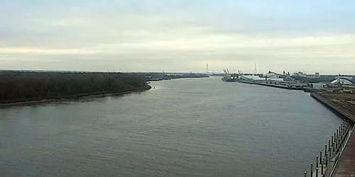 Rivière Savannah webcam - Savannah