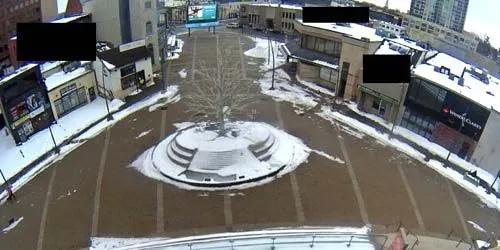 Le Rose Brampton, Garden Square webcam